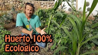 La Permacultura 🌳  Conoce un Huerto 100 Ecológico [upl. by Almeda]