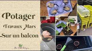 3ème épisode  Potager sur balcon en Mars [upl. by Hagerman]