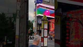 Pantalla 3D Cruce de Shinjuku  3D Billboard Shinjuku Croassing [upl. by Regazzi]