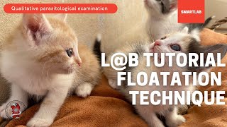 How to make a coprological qualitative exam Floatation Method  SmartLab [upl. by Alina569]