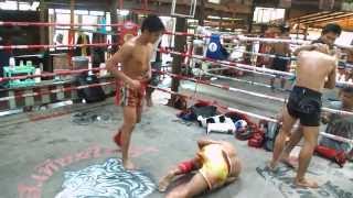 Clinching session  13 Coins Gym Saenchai Pakorn Sangmanee Kongja and others [upl. by Caril]