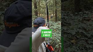 2 Arrows 2 Kills archery bowhunting bowandarrow [upl. by Ann224]