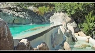 Construire un Etang de Baignade Paysagé  Piscine Naturelle [upl. by Essilem]