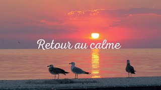 Musique de relaxation  détente bienêtre retour au calme 🌿 [upl. by Shu357]