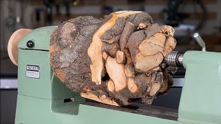 Stunning Tree Root Woodturning Creation [upl. by Wallie200]