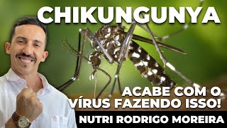 Vírus da Chikungunya como ACABAR com ele dentro do seu CORPO  Nutri Rodrigo Moreira [upl. by Anauqaj655]