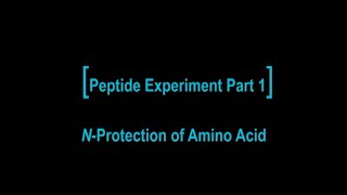 Dipeptide Experiment Part 1 NProtection of Amino Acid [upl. by Dyoll]