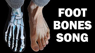 FOOT BONES SONG [upl. by Dobbins23]