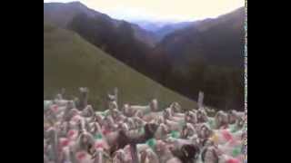 transhumance betsula 2013 preparation et descente vers LARRAU [upl. by Yenahpets]