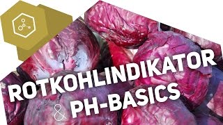 Wie funktioniert der Rotkohlindikator  pHBasics [upl. by Teena645]