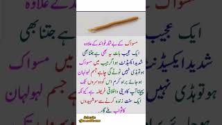 miswak k fawaid مسواک کے فوائد👍💞 [upl. by Notneb537]