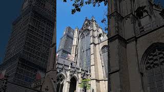 Bells constantly ringing at Dom Tower Utrecht Netherlands 🇳🇱 [upl. by Amluz]