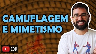 Camuflagem e Mimetismo  Aula 06  Módulo III Evolução e Classificação dos Seres  Prof Gui [upl. by Thaine941]