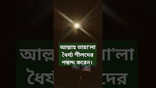 আল্লাহ তায়ালা ধৈর্য্য শীলদের পছন্দ করেন evreyone foryou ilamic islamicshortvideo [upl. by Stirling]