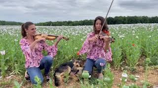 Les Amazones Violonistes  Chi Mai [upl. by Morocco]