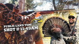 MIDDAY Success Strutting amp Gobbling Michigan Spring Turkey Season 2024 [upl. by Norven336]