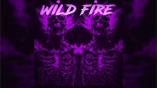 INSANEX  WILD FIRE [upl. by Edna]