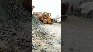 Bobcat Power in Action Heavy Lifting and Precision Control shorts bobcat powerful [upl. by Nnayar]