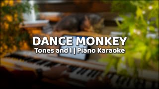 Tones and I  Dance Monkey Karaoke Beat Piano [upl. by Abey]