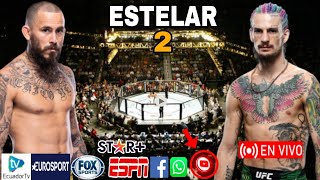 Donde ver Chito Vera vs Sean OMalley en vivo por el peso gallo UFC 299 [upl. by Nodla]