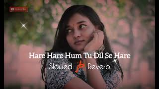 Haare Haare  Hum Tu Dil Se Hare  Slowed amp Reverb  Josh  JB Khan Editzz [upl. by Melas820]