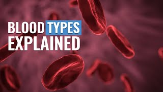 Understanding Blood Types and Rh factor [upl. by Maddeu]