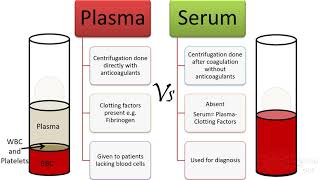 Plasma Vs serum Vs antiserum [upl. by Soalokcin170]