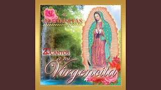 La Guadalupana [upl. by Merissa]