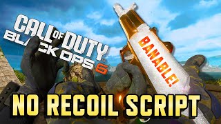 DS45 AntiRecoil Script COD BO6 Update 2024  AMES AK amp XM4 [upl. by Ennovoj653]