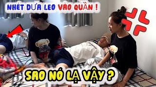 Giả Bị Sốt và Nhét Dưa Leo Vào Quần Dựng Đứng Xem Phản Ứng Của THY [upl. by Naitsirhk]