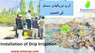 Drip Irrigation System Installation Part 1 [upl. by Nodla4]