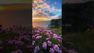 24kgoldn  Mood Lyrics ftiann dior  Lyrics video  lofi  Mood song  lyrics aesthetic [upl. by Ylatan]