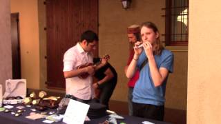 Budrio Ocarina Festival 2015 Navvy on the Line [upl. by Faustena]