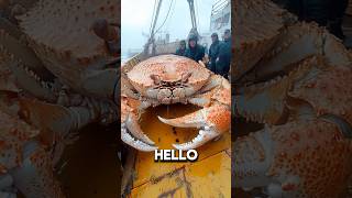 The Kodiak Crab 💀🦀full vid ☝️ [upl. by Reggi724]