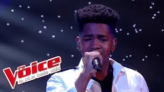 Lisandro Cuxi  « Si seulement je pouvais lui manquer » Calogero  The Voice 2017  Live [upl. by Kling491]