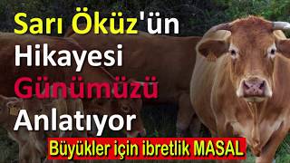 SARI ÖKÜZ HİKAYESİ büyüklere masallaribretlik hikayelersesli kitap [upl. by Anol]