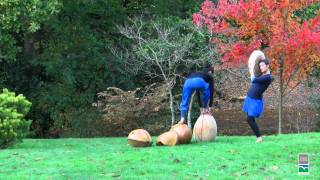 Côtes dArmor  Scènes dAutomne au jardin dun jardin à lautre [upl. by Ardnasirk]