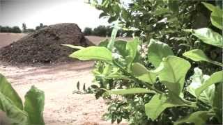 Safe Management Practices for Using Composted Manures [upl. by Mitran]