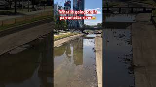 Parramatta river 😱viralvideo travel australia [upl. by Richma677]