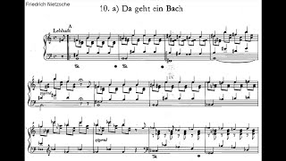 Nietzsche  Piano Music  Da geht ein Bach sheet music Alex Alguacil piano [upl. by Monahan]