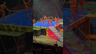 Troupe Brothers amp Amazing Acts at Ringling Bros Circus  Unforgettable Performance [upl. by Kauffman]