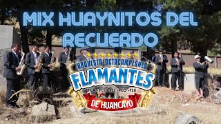 Mix Huaynitos del recuerdo  Orquesta Flamantes de Huancayo 🎷🎷 [upl. by Dex]