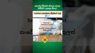 Lumbar puncture Spinal tap💉  Medical biology  අපි නොදන්න Biology  7🫀biology medical shorts [upl. by Tila]