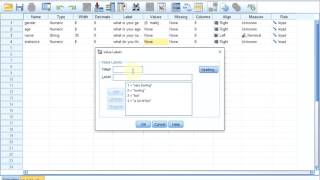 S01E0412a SPSS Basics  Entering simple questions [upl. by Eresed]