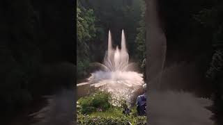 Butchart Gardens Fountain 2024 shorts [upl. by Atnom]