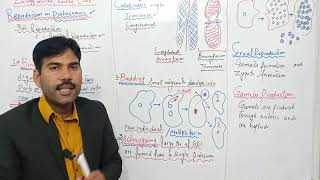 Reproduction in protozoansMiller Harlley Ch8 Lec2 [upl. by Felten]