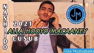 Baajamaall  ALLA HOOYO MACAANEY  Office Video 2021 [upl. by Ylrbmik]