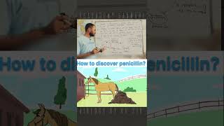 How to discover penicillin biology neet neetbiology class12 shorts [upl. by Lisab864]