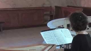 Corina Marti plays music from Codex Faenza on late medieval harpsichord [upl. by Scoter]