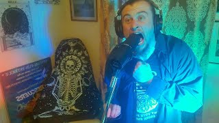 System of a Down  Hypnotize Vocal Cover [upl. by Einnaf]